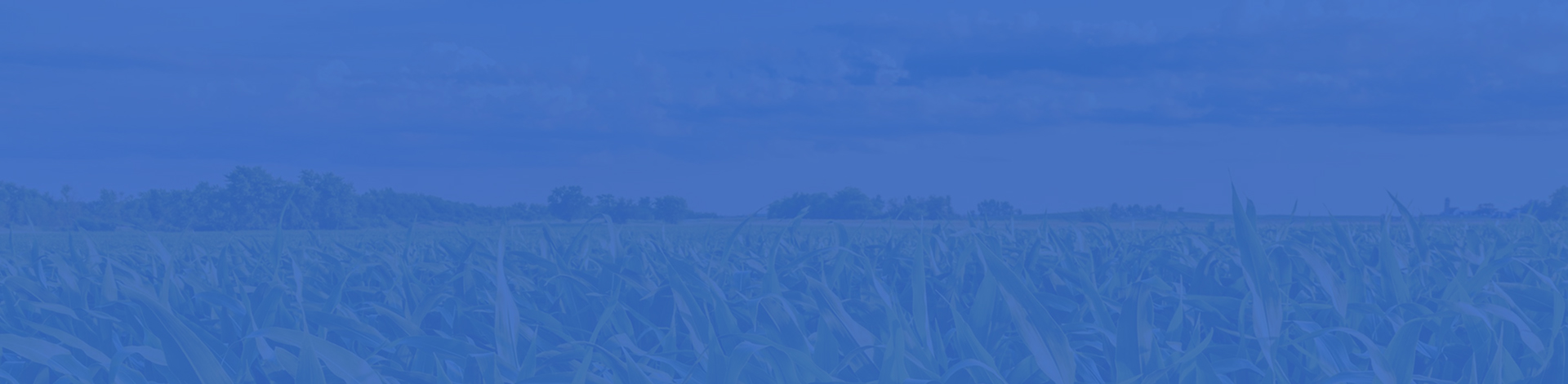 all purpose npk fertilizer factories