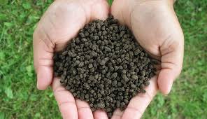best organic fertilizer for vegetable seedlings suppliers