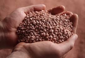 granular npk fertilizer producer supplier