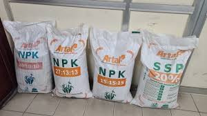 buy tomato plant organic fertilizer