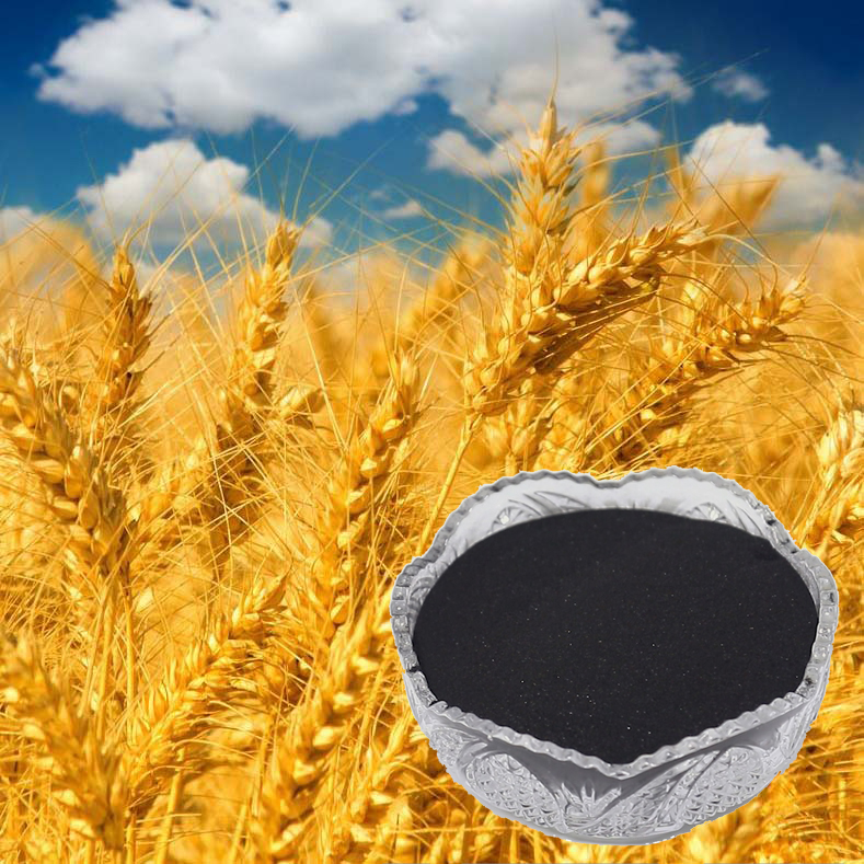 best organic potato fertilizer