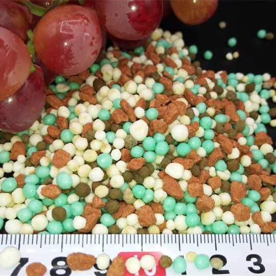 granular npk fertilizer producer