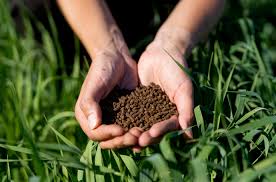 water soluble fertilizer 10-52-10