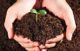 urea phosphate 17-44-0 water soluble fertilizer