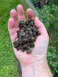 buy organic nitrogen fertilizer