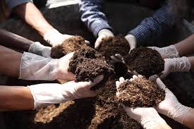 best npk fertilizer for squash and zucchini