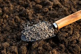 organic all purpose fertilizer