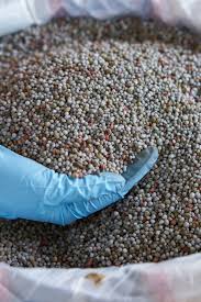 sulfate of potash uses