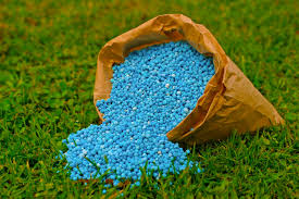 best organic fertilizer for tomatoes in texas factories