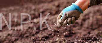potassium humate