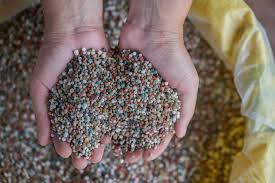 buy 3-4-6 organic fertilizer