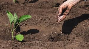 high quality npk fertilizer 23-10-5+6s+zn