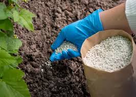 NPK 8-2-12-4 & 20-20-20 Compound Fertilizer Suppliers   Crop Boost