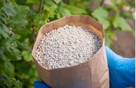 high quality fertilizer npk 10 10 10