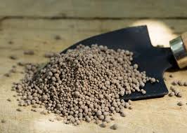 buy npk fertilizer apply