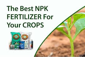 12 24 24 fertilizer supplier