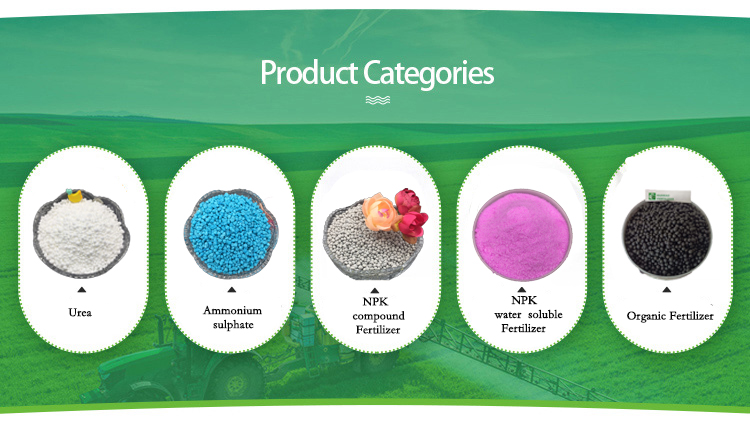 best organic citrus tree fertilizer