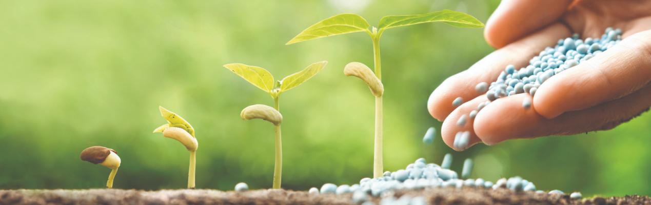 organic fertilizer flowers manufacturers