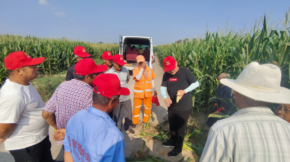 agricultural grade npk fertilizer suppliers