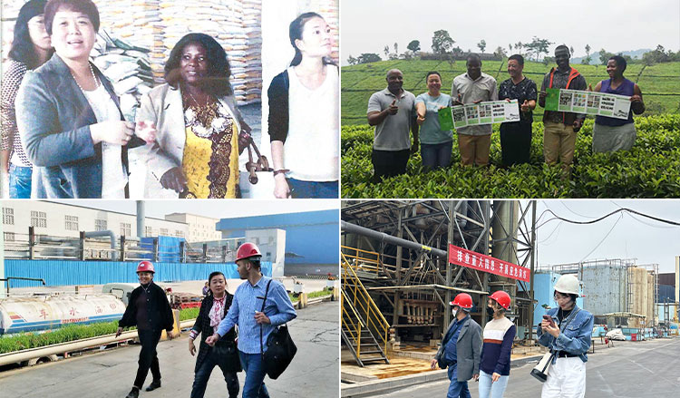 organic potassium fertilizer manufacturers