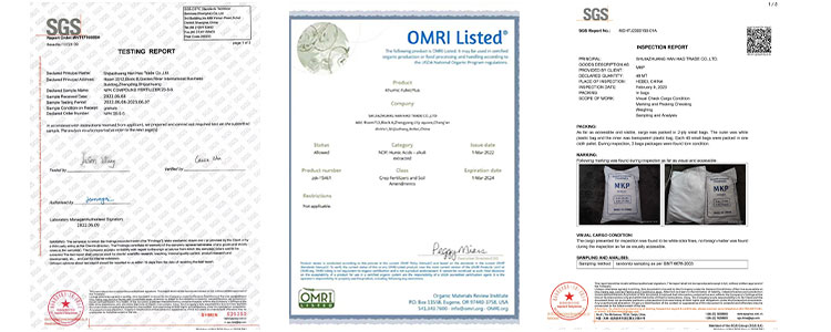 high quality potassium organic fertilizer