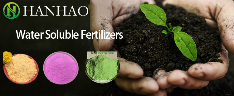 10 50 10 fertilizer supplier