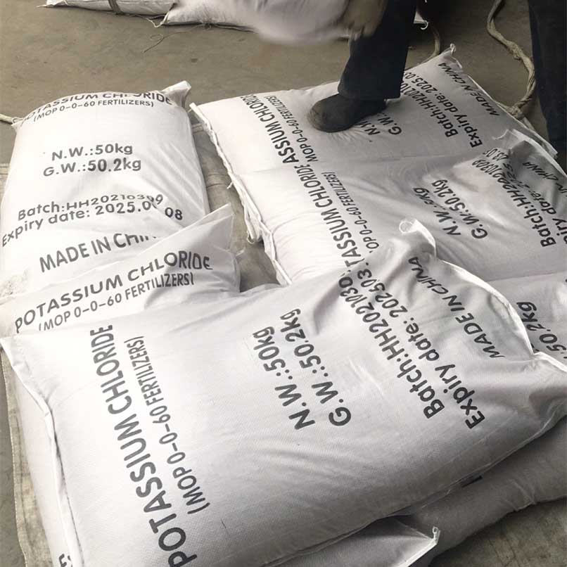 best organic fertilizer for all plants