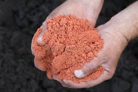 best best npk fertilizer for turf