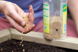 tomato fertilizer organic manufacturers