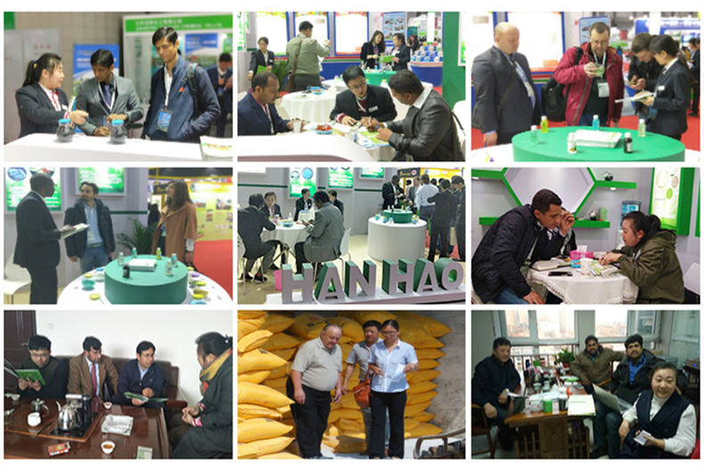 best cheap organic fertilizer manufacturer