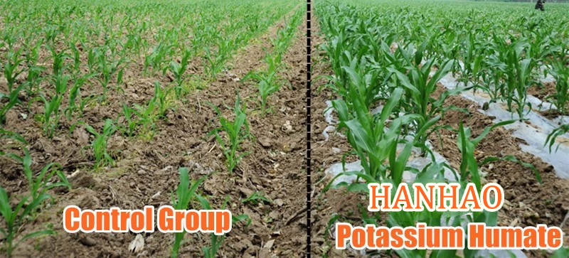 organic 10-10-10 fertilizer manufacturer