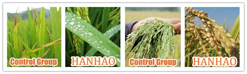 high quality organic fertilizer water soluble
