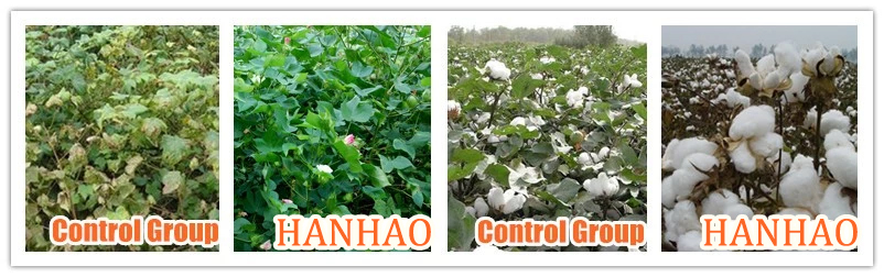 high quality buy water soluble fertilizer online