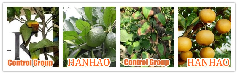 bulk organic fertilizer manufacturer