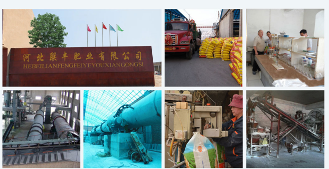hpow tp blend water soluble fertilizer supplier