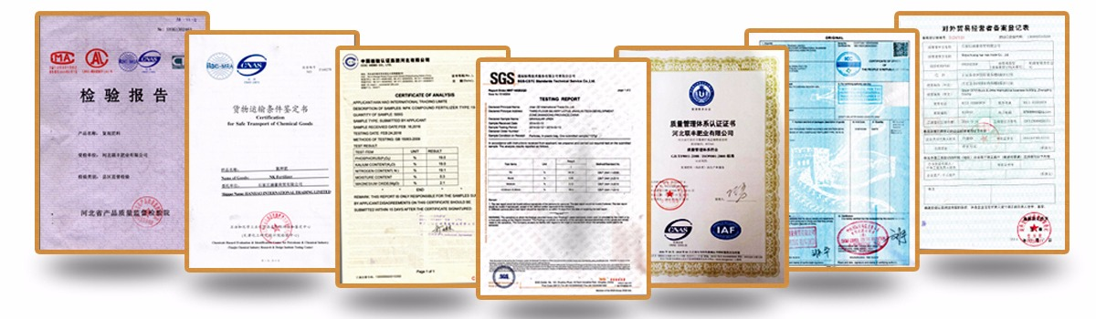 best 15 8 12 fertilizer