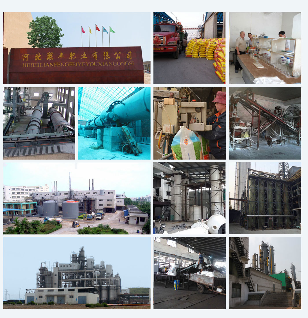 bulk organic lawn fertilizer factories